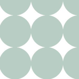 Cadeaupapier Grote Stippen Mint Groen