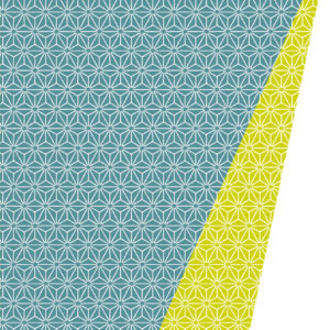 K601475-21 chic petrol chic mustard