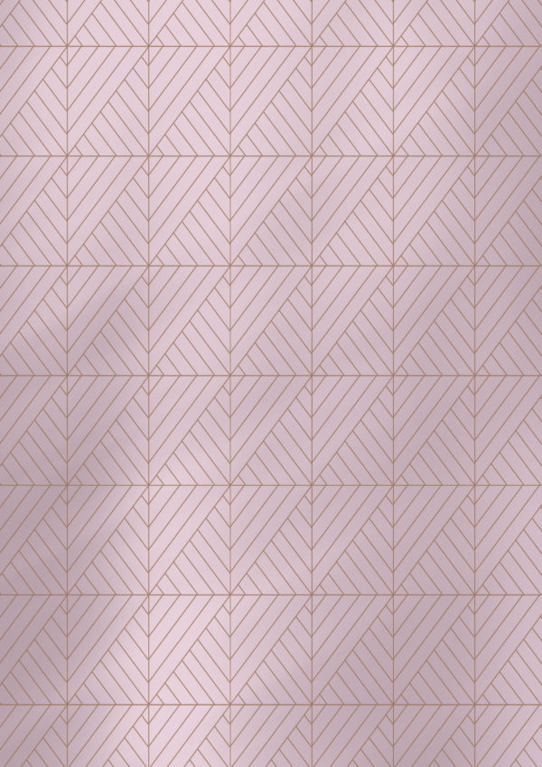 Cadeaupapier Roze met Grafische vormen