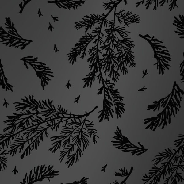 Zwart Cadeaupapier met Bladeren Winterleaves
