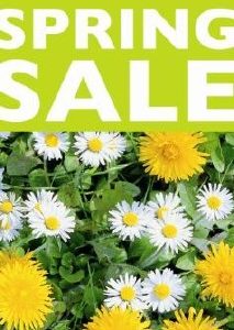 Raambiljet Spring Sale