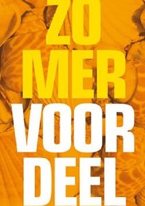 Raambiljet Zomer Voordeel