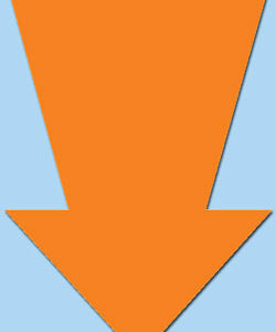 Pijl Fluor Oranje (50st)