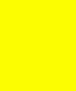 Prijskaart Blanco Fluor Geel (100st)