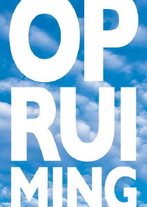 Raambiljet OPRUIMING Blauw