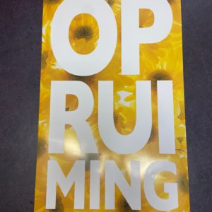 Raambiljet OPRUIMING Geel