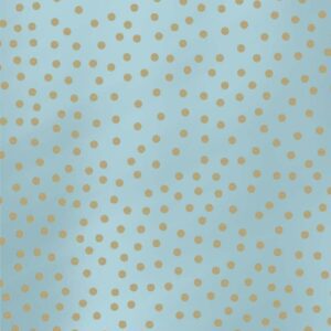 Inpakpapier Kraft Blauw Gestipt