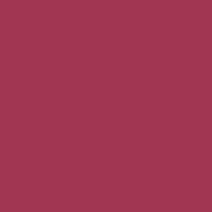 1016-0007 burgundy