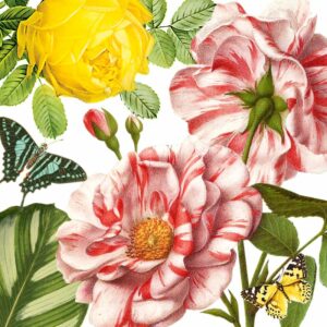 Servetten 33x33cm 20 stuks Atelier Paradise Roses